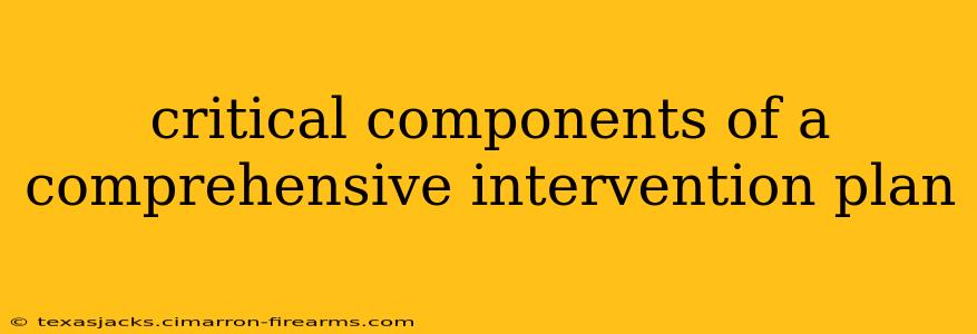 critical components of a comprehensive intervention plan