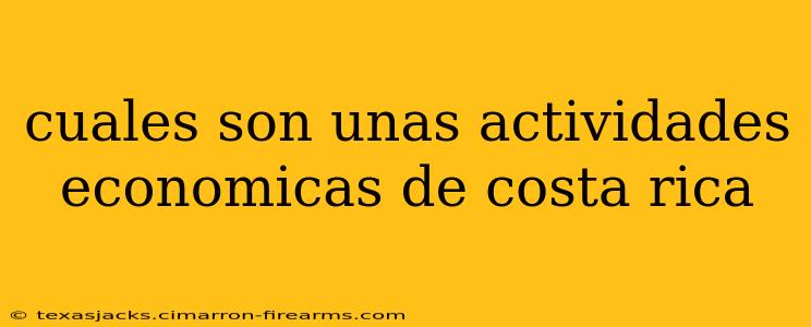 cuales son unas actividades economicas de costa rica