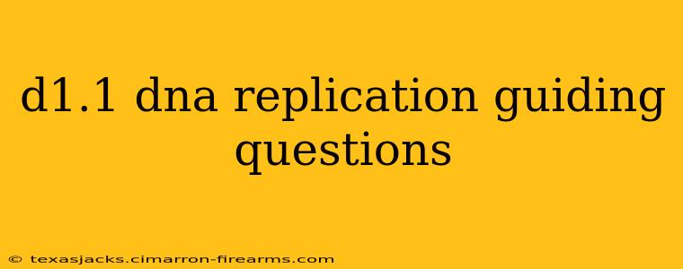 d1.1 dna replication guiding questions