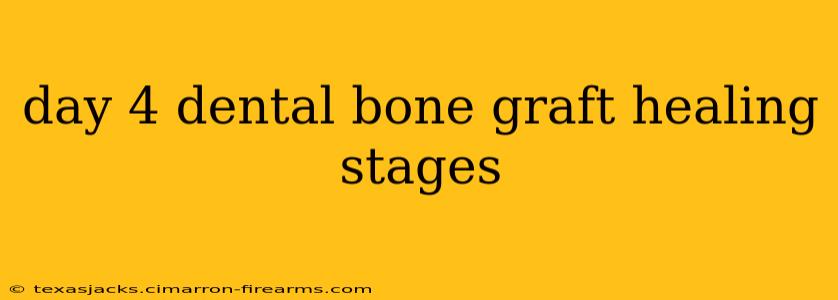 day 4 dental bone graft healing stages