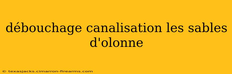 débouchage canalisation les sables d'olonne