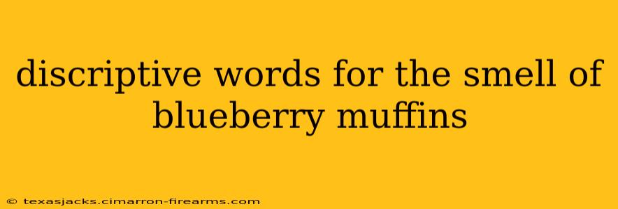 discriptive words for the smell of blueberry muffins