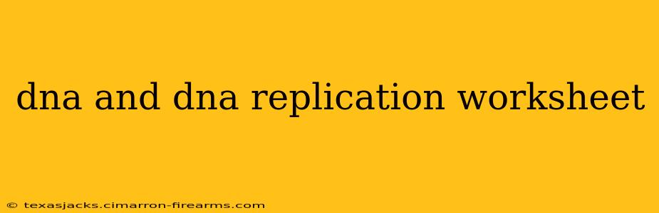 dna and dna replication worksheet