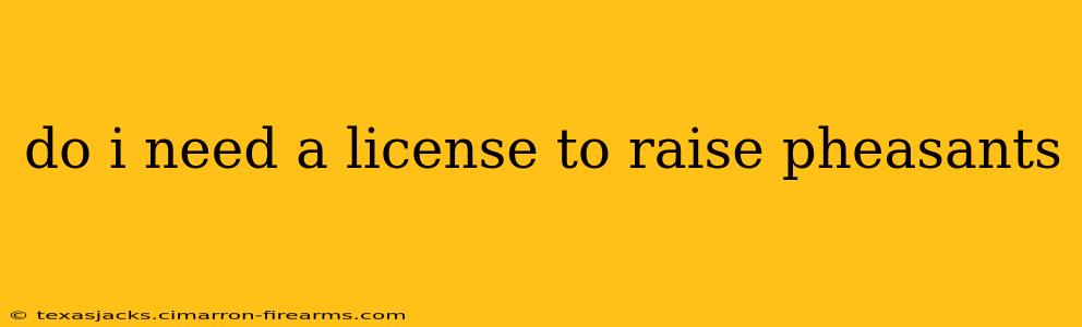 do i need a license to raise pheasants