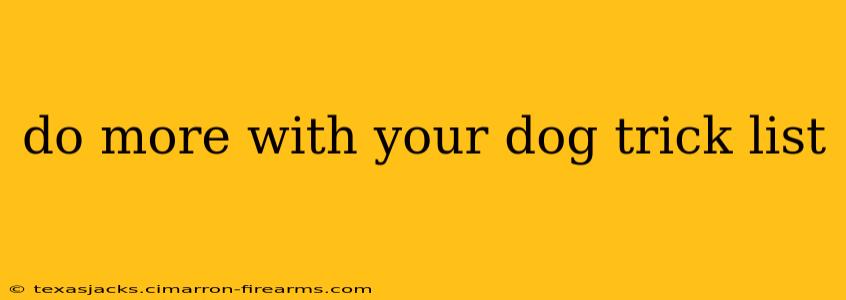 do more with your dog trick list