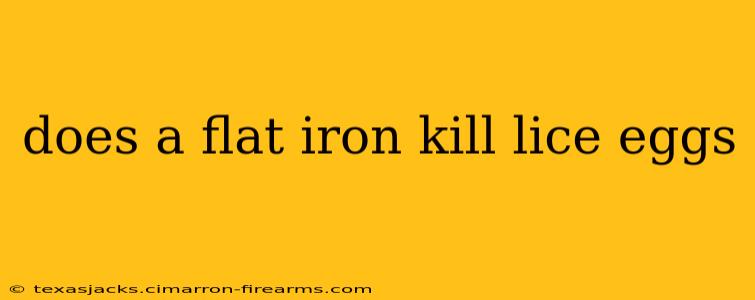 does a flat iron kill lice eggs