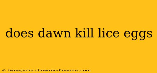 does dawn kill lice eggs