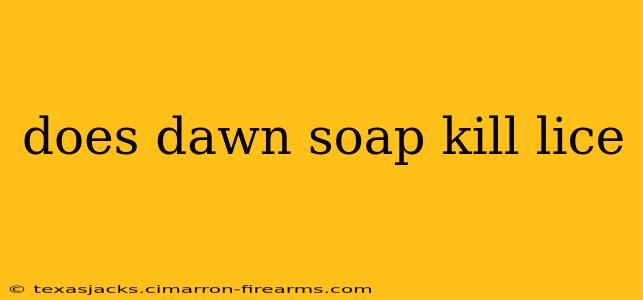 does dawn soap kill lice