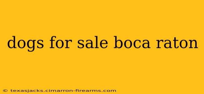 dogs for sale boca raton