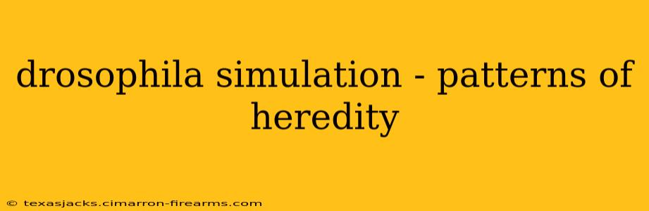 drosophila simulation - patterns of heredity