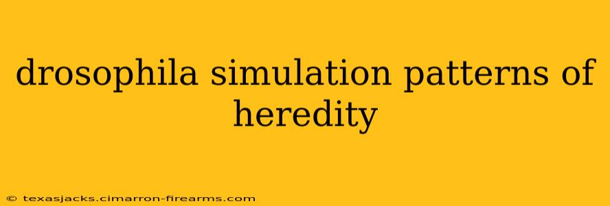 drosophila simulation patterns of heredity