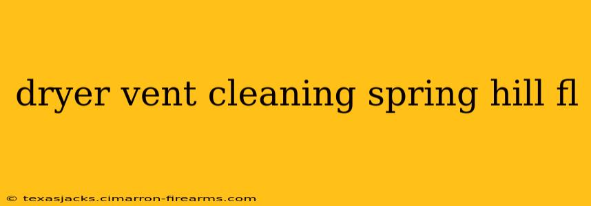 dryer vent cleaning spring hill fl