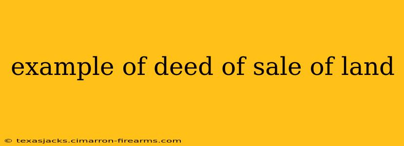 example of deed of sale of land