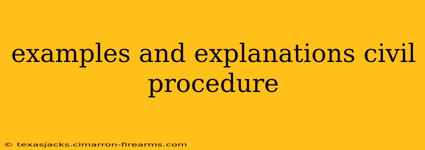 examples and explanations civil procedure