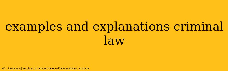 examples and explanations criminal law