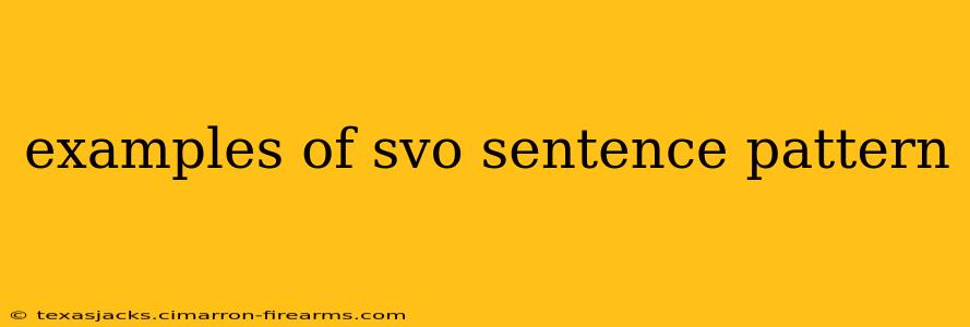 examples of svo sentence pattern