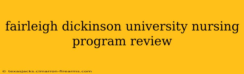 fairleigh dickinson university nursing program review