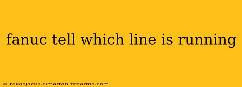 fanuc tell which line is running