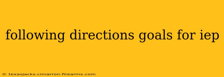 following directions goals for iep