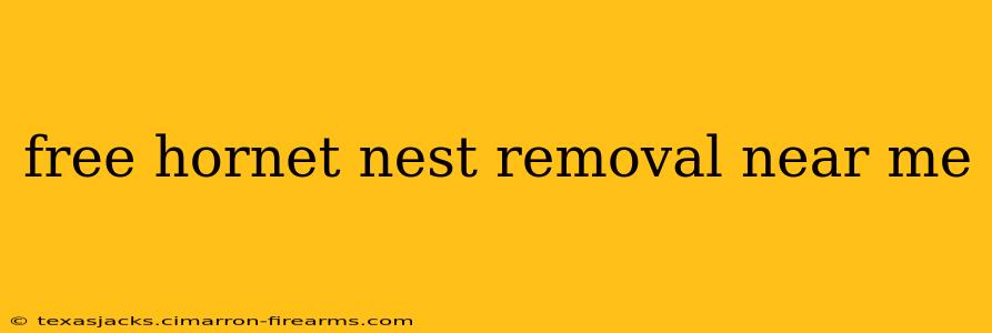 free hornet nest removal near me