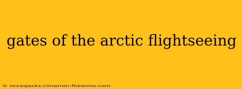 gates of the arctic flightseeing