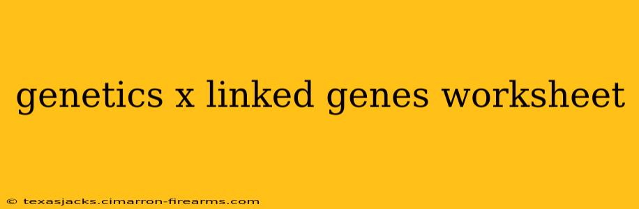 genetics x linked genes worksheet