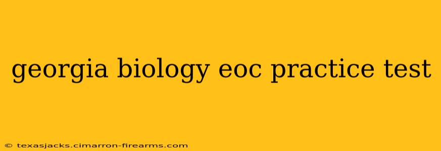 georgia biology eoc practice test