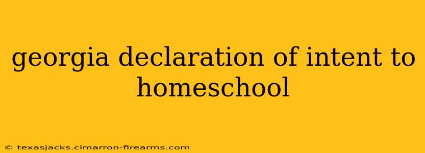 georgia declaration of intent to homeschool