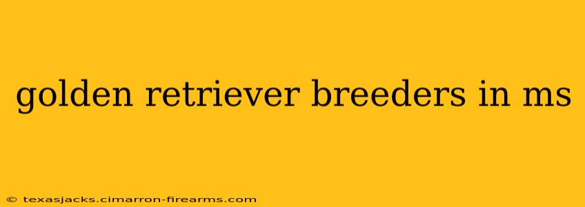 golden retriever breeders in ms