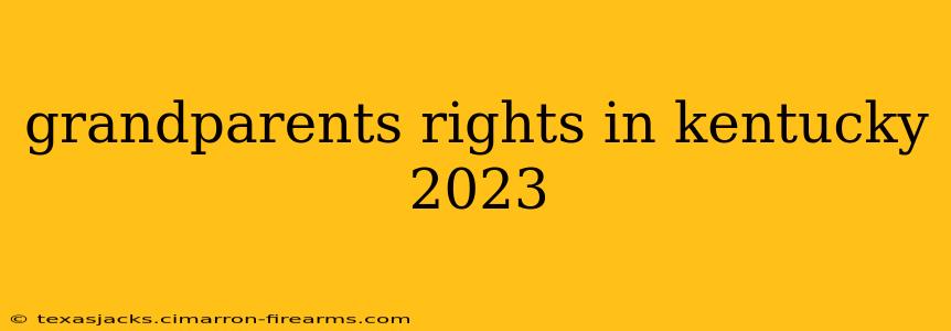 grandparents rights in kentucky 2023