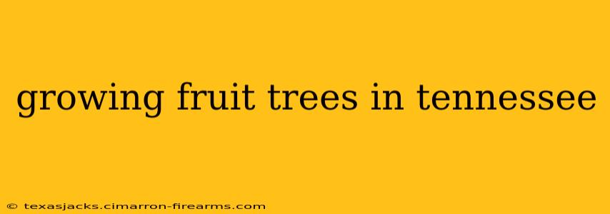 growing fruit trees in tennessee