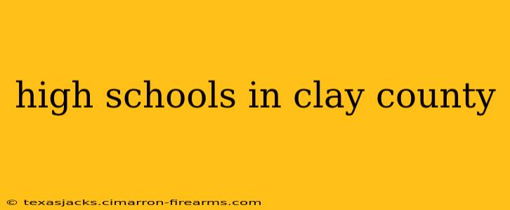 high schools in clay county