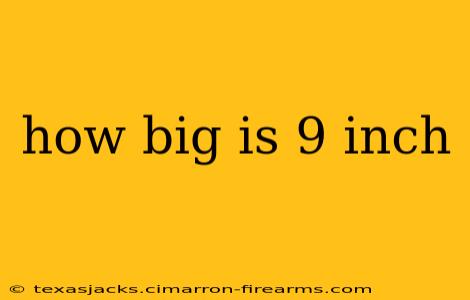 how big is 9 inch