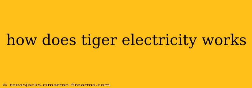 how does tiger electricity works