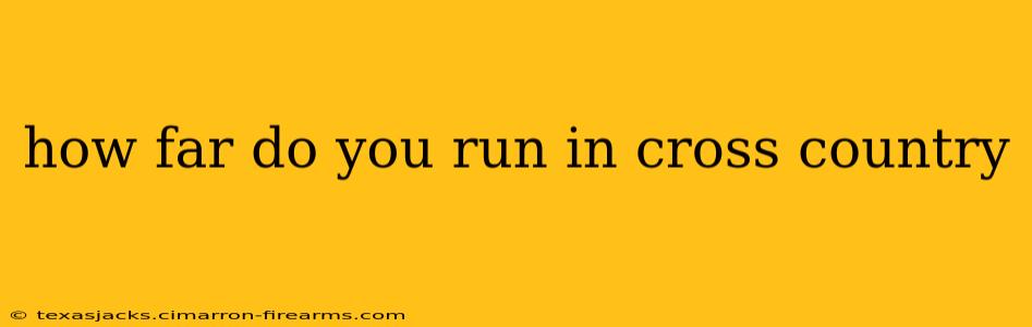 how far do you run in cross country