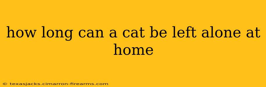 how long can a cat be left alone at home