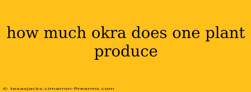 how much okra does one plant produce