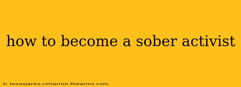 how to become a sober activist