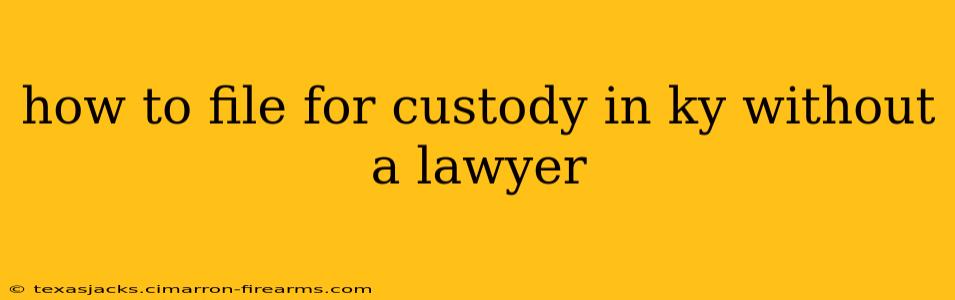 how to file for custody in ky without a lawyer