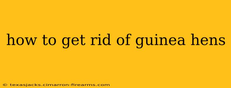 how to get rid of guinea hens