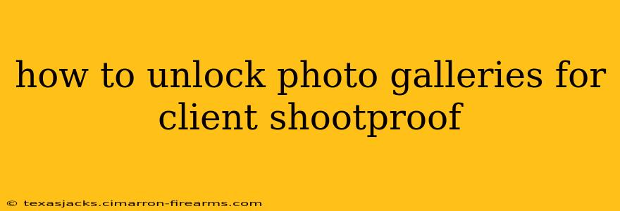 how to unlock photo galleries for client shootproof