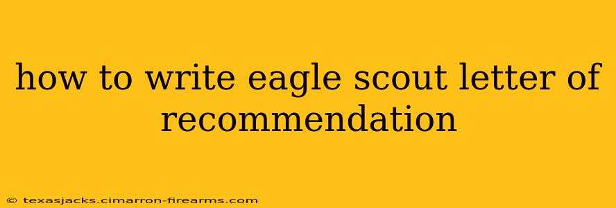 how to write eagle scout letter of recommendation