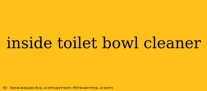 inside toilet bowl cleaner