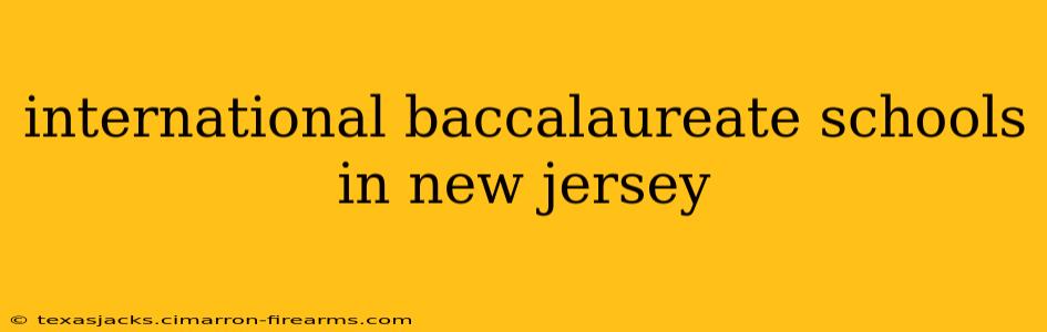 international baccalaureate schools in new jersey