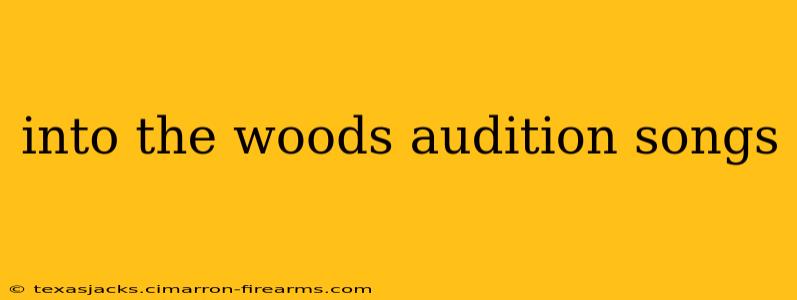 into the woods audition songs