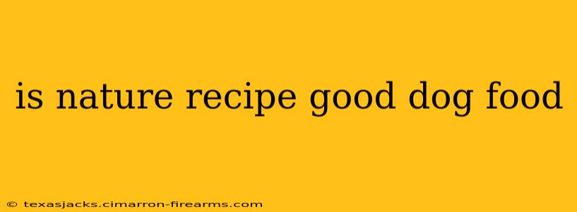 is nature recipe good dog food