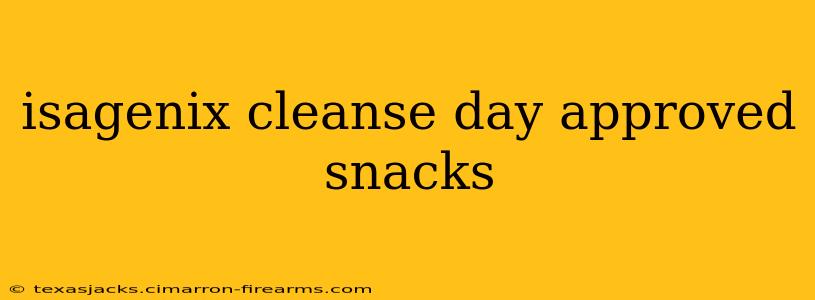 isagenix cleanse day approved snacks