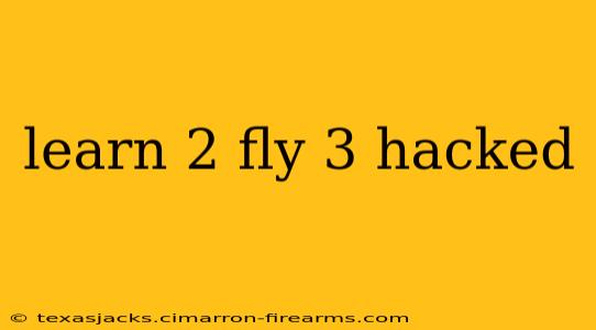 learn 2 fly 3 hacked