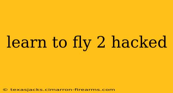 learn to fly 2 hacked