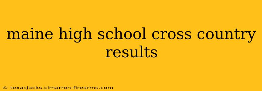 maine high school cross country results